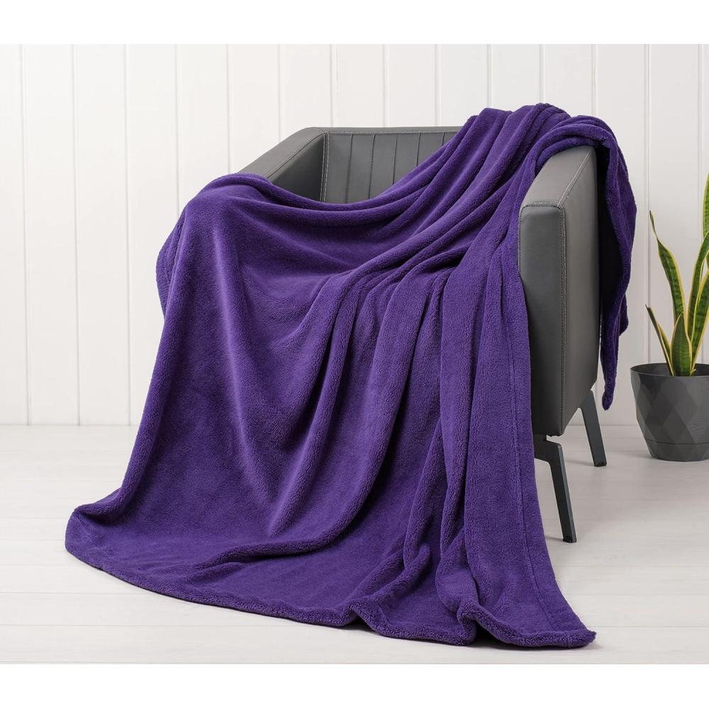 imageAmerican Soft Linen Bedding Fleece Blanket Twin Size 60x80 inch Plush Fuzzy Cozy Soft Blanket for Bed Sofa Couch BeigePurple